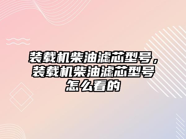 裝載機(jī)柴油濾芯型號，裝載機(jī)柴油濾芯型號怎么看的