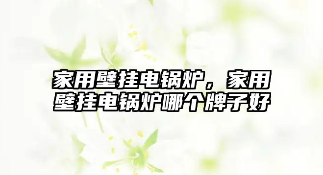 家用壁掛電鍋爐，家用壁掛電鍋爐哪個(gè)牌子好