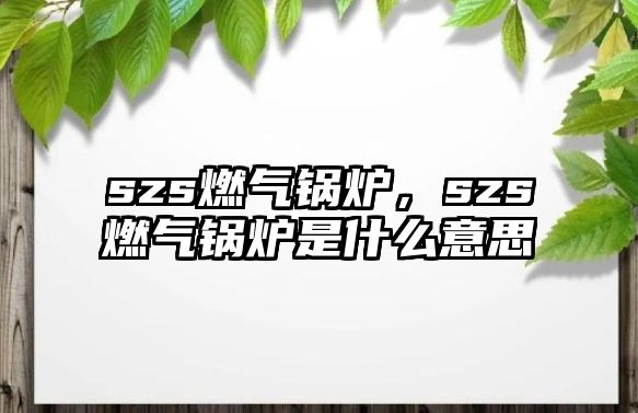 szs燃?xì)忮仩t，szs燃?xì)忮仩t是什么意思