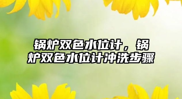 鍋爐雙色水位計(jì)，鍋爐雙色水位計(jì)沖洗步驟