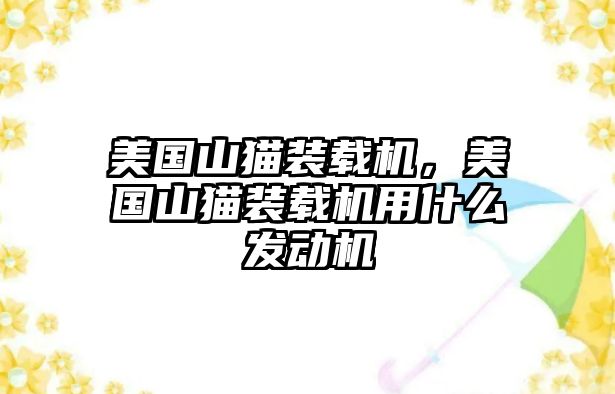 美國(guó)山貓裝載機(jī)，美國(guó)山貓裝載機(jī)用什么發(fā)動(dòng)機(jī)