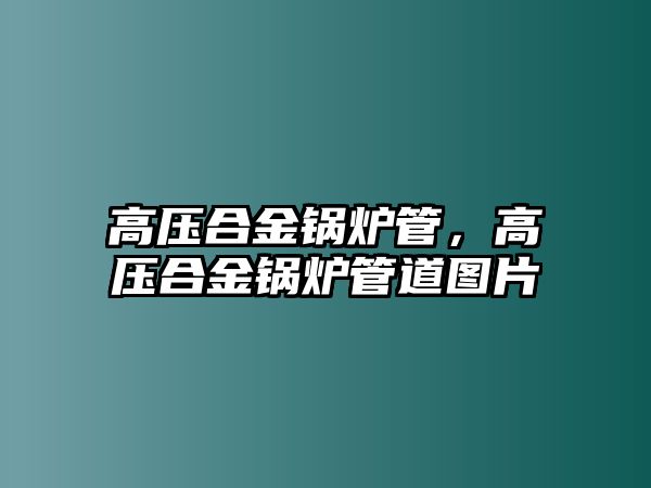 高壓合金鍋爐管，高壓合金鍋爐管道圖片