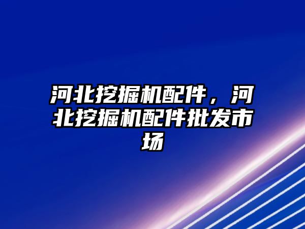 河北挖掘機(jī)配件，河北挖掘機(jī)配件批發(fā)市場