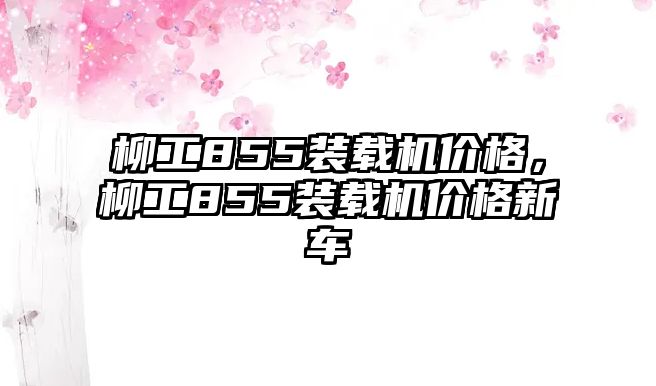 柳工855裝載機價格，柳工855裝載機價格新車