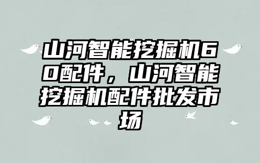 山河智能挖掘機(jī)60配件，山河智能挖掘機(jī)配件批發(fā)市場