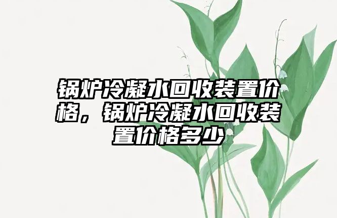 鍋爐冷凝水回收裝置價格，鍋爐冷凝水回收裝置價格多少