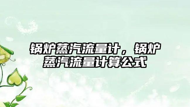 鍋爐蒸汽流量計(jì)，鍋爐蒸汽流量計(jì)算公式