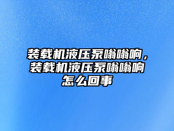 裝載機液壓泵嗡嗡響，裝載機液壓泵嗡嗡響怎么回事