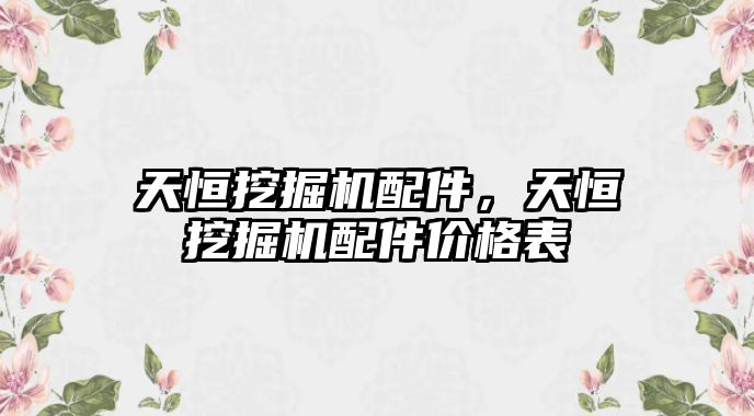 天恒挖掘機配件，天恒挖掘機配件價格表