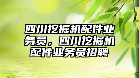 四川挖掘機配件業(yè)務員，四川挖掘機配件業(yè)務員招聘