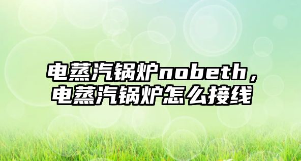 電蒸汽鍋爐nobeth，電蒸汽鍋爐怎么接線