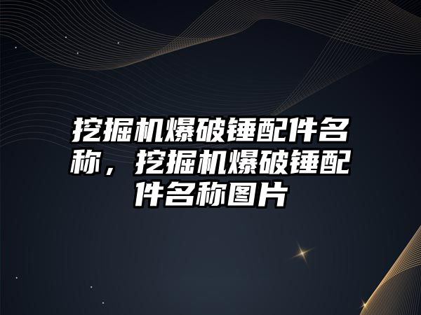 挖掘機爆破錘配件名稱，挖掘機爆破錘配件名稱圖片