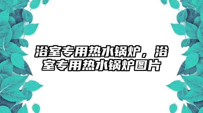 浴室專用熱水鍋爐，浴室專用熱水鍋爐圖片