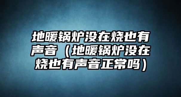 地暖鍋爐沒(méi)在燒也有聲音（地暖鍋爐沒(méi)在燒也有聲音正常嗎）