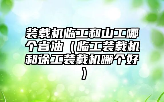 裝載機(jī)臨工和山工哪個(gè)省油（臨工裝載機(jī)和徐工裝載機(jī)哪個(gè)好）