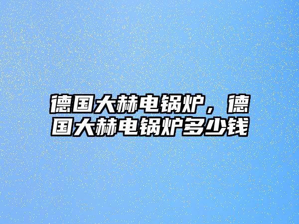 德國(guó)大赫電鍋爐，德國(guó)大赫電鍋爐多少錢