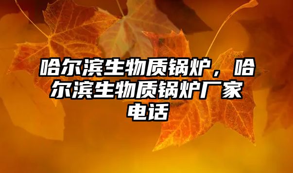 哈爾濱生物質(zhì)鍋爐，哈爾濱生物質(zhì)鍋爐廠家電話(huà)