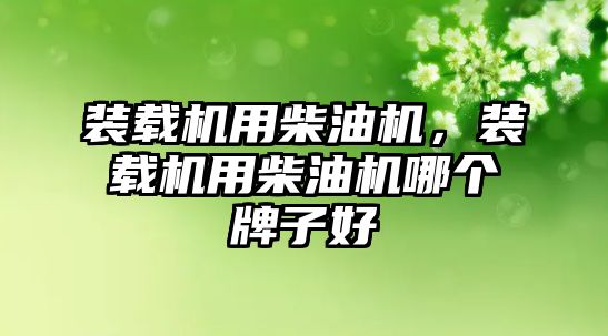 裝載機用柴油機，裝載機用柴油機哪個牌子好