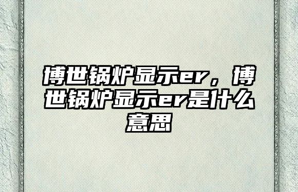 博世鍋爐顯示er，博世鍋爐顯示er是什么意思