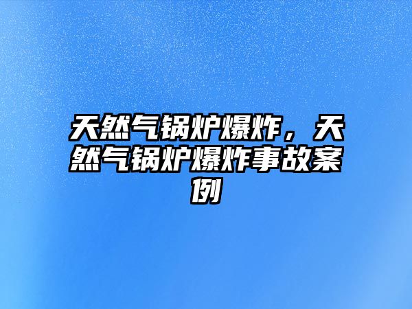 天然氣鍋爐爆炸，天然氣鍋爐爆炸事故案例