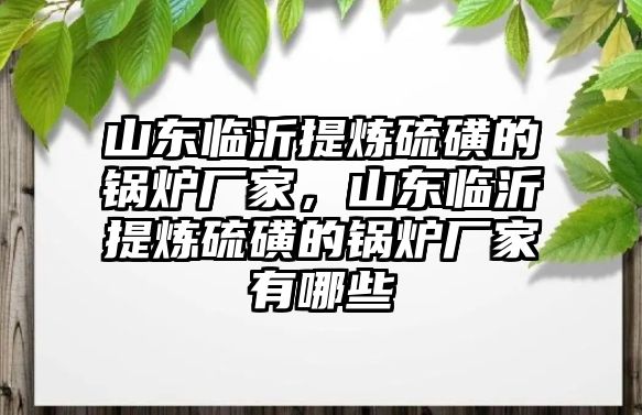 山東臨沂提煉硫磺的鍋爐廠家，山東臨沂提煉硫磺的鍋爐廠家有哪些