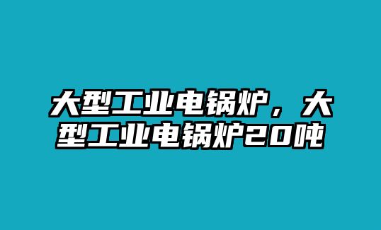 大型工業(yè)電鍋爐，大型工業(yè)電鍋爐20噸