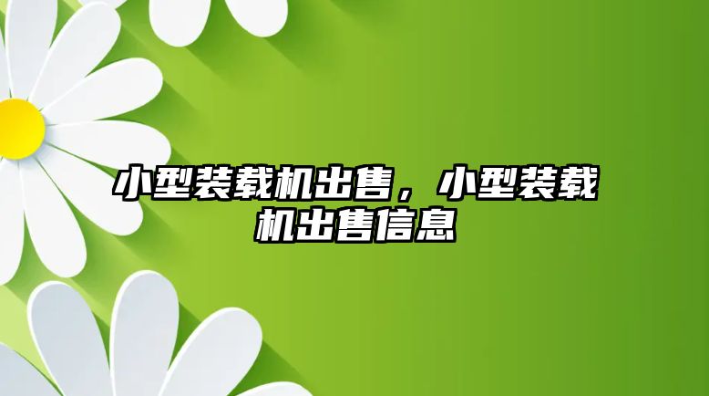 小型裝載機出售，小型裝載機出售信息