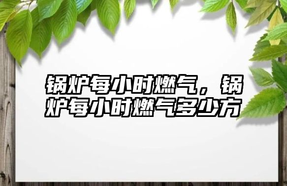 鍋爐每小時(shí)燃?xì)猓仩t每小時(shí)燃?xì)舛嗌俜?/>	
								</i>
								<p class=