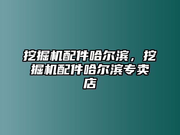 挖掘機(jī)配件哈爾濱，挖掘機(jī)配件哈爾濱專賣店