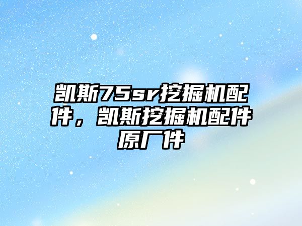 凱斯75sr挖掘機配件，凱斯挖掘機配件原廠件