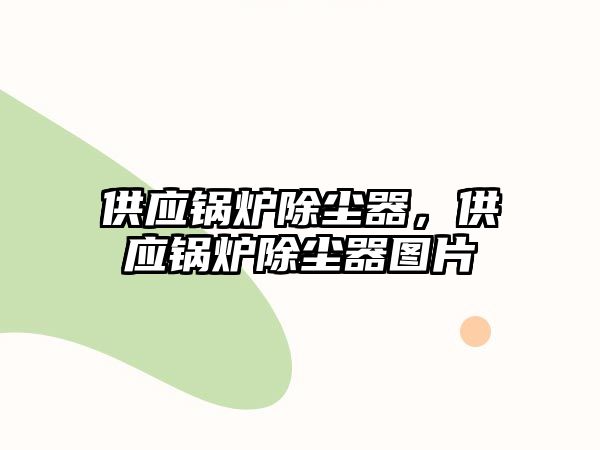 供應(yīng)鍋爐除塵器，供應(yīng)鍋爐除塵器圖片