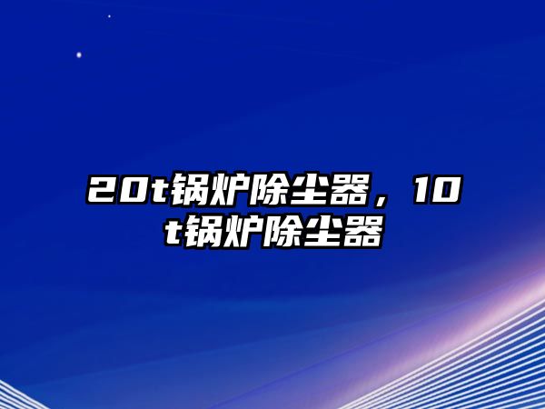 20t鍋爐除塵器，10t鍋爐除塵器