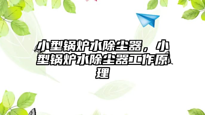 小型鍋爐水除塵器，小型鍋爐水除塵器工作原理