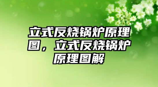 立式反燒鍋爐原理圖，立式反燒鍋爐原理圖解