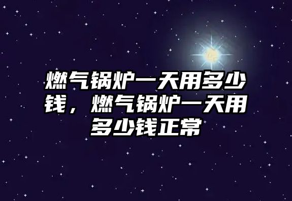 燃?xì)忮仩t一天用多少錢，燃?xì)忮仩t一天用多少錢正常