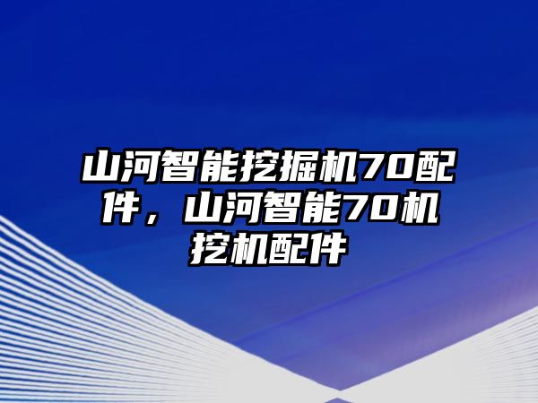 山河智能挖掘機(jī)70配件，山河智能70機(jī)挖機(jī)配件