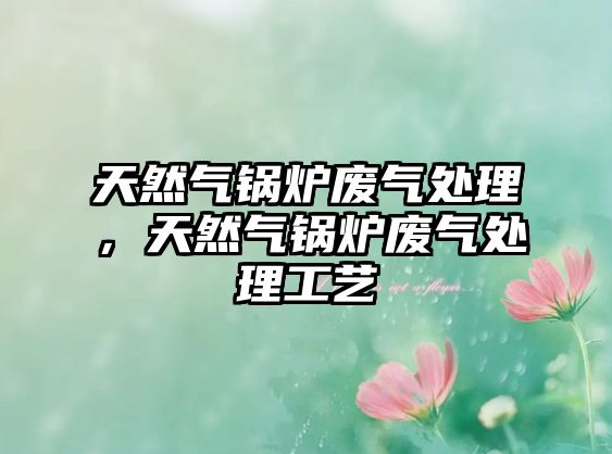 天然氣鍋爐廢氣處理，天然氣鍋爐廢氣處理工藝