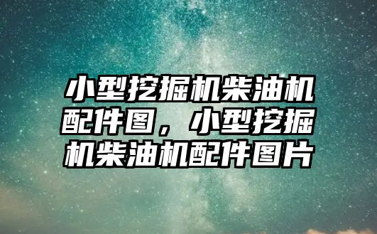 小型挖掘機柴油機配件圖，小型挖掘機柴油機配件圖片