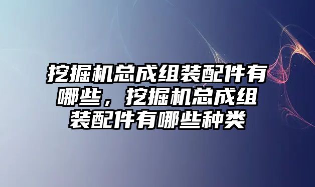 挖掘機(jī)總成組裝配件有哪些，挖掘機(jī)總成組裝配件有哪些種類