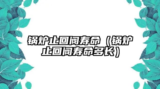 鍋爐止回閥壽命（鍋爐止回閥壽命多長）