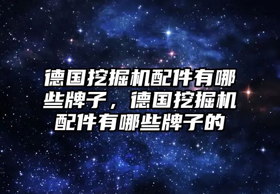 德國挖掘機配件有哪些牌子，德國挖掘機配件有哪些牌子的