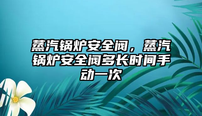 蒸汽鍋爐安全閥，蒸汽鍋爐安全閥多長時間手動一次