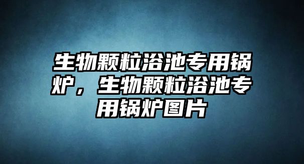 生物顆粒浴池專用鍋爐，生物顆粒浴池專用鍋爐圖片