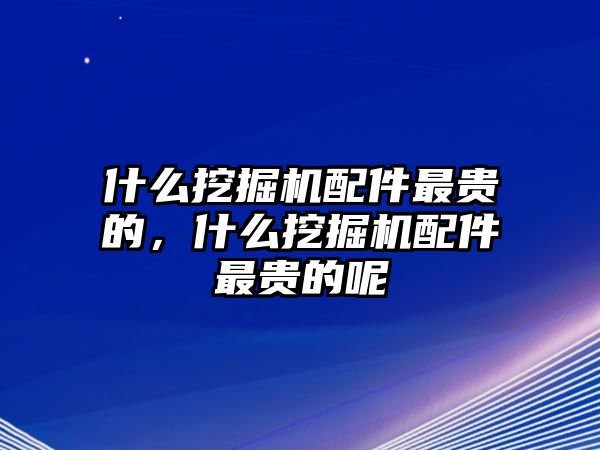 什么挖掘機(jī)配件最貴的，什么挖掘機(jī)配件最貴的呢