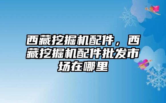 西藏挖掘機(jī)配件，西藏挖掘機(jī)配件批發(fā)市場(chǎng)在哪里