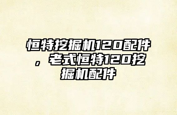 恒特挖掘機(jī)120配件，老式恒特120挖掘機(jī)配件