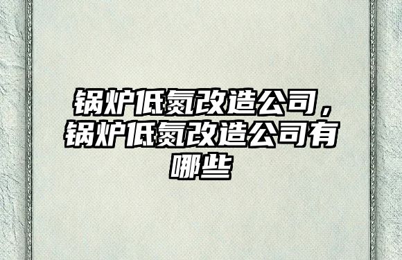 鍋爐低氮改造公司，鍋爐低氮改造公司有哪些