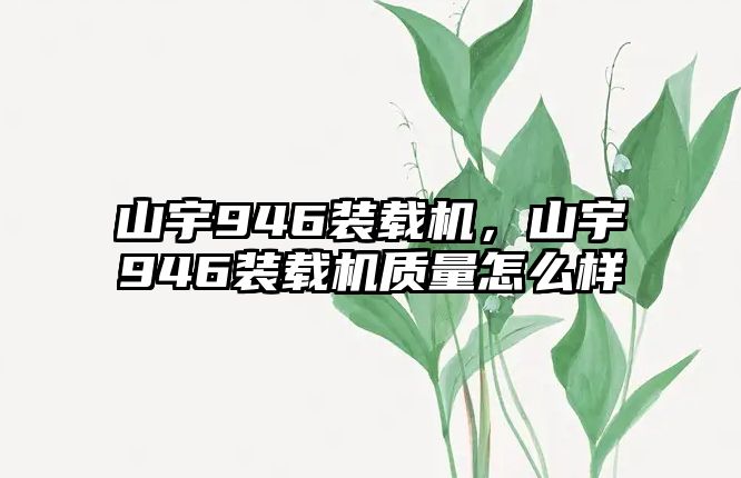 山宇946裝載機(jī)，山宇946裝載機(jī)質(zhì)量怎么樣