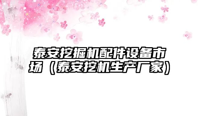 泰安挖掘機配件設(shè)備市場（泰安挖機生產(chǎn)廠家）