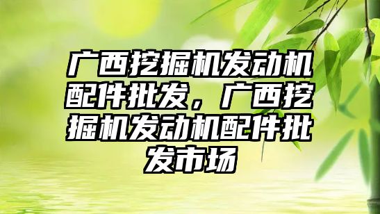 廣西挖掘機發(fā)動機配件批發(fā)，廣西挖掘機發(fā)動機配件批發(fā)市場